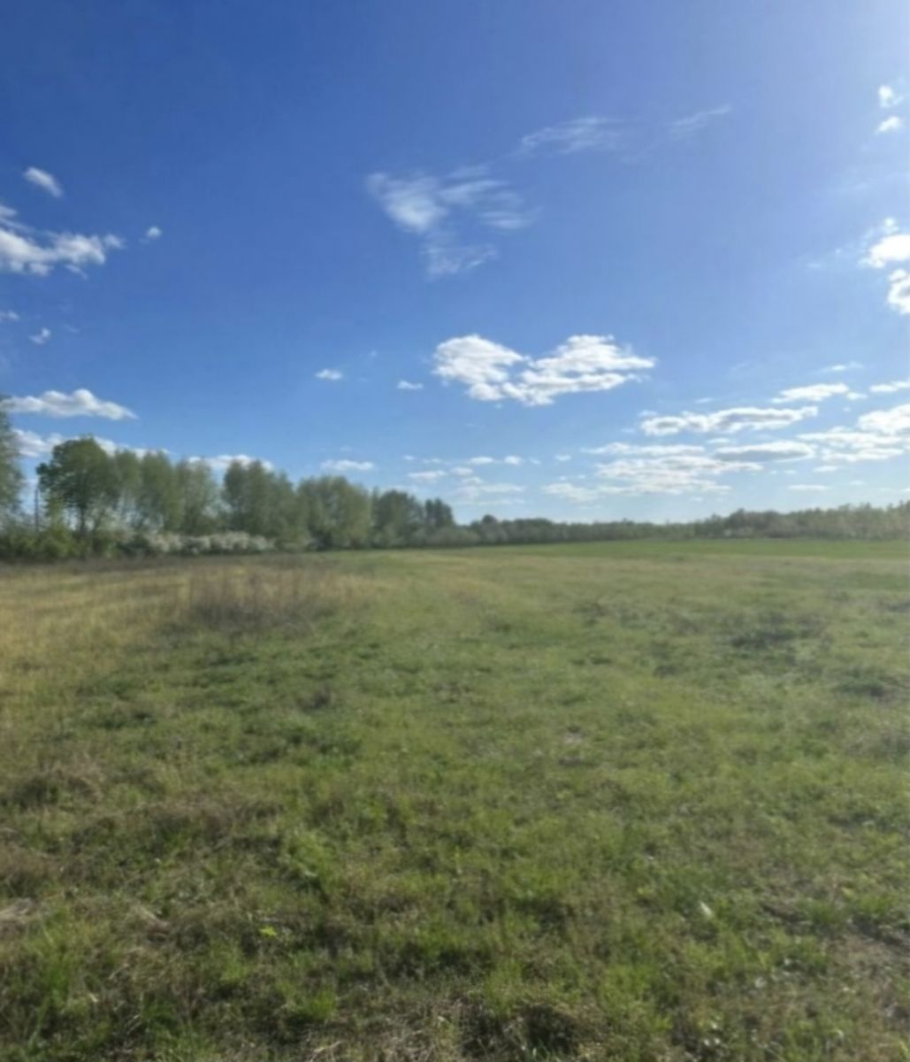 Działka wśród zieleni