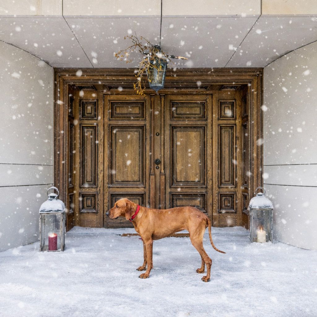 Rodzinna rezydencja nad rzeką | 538 m2