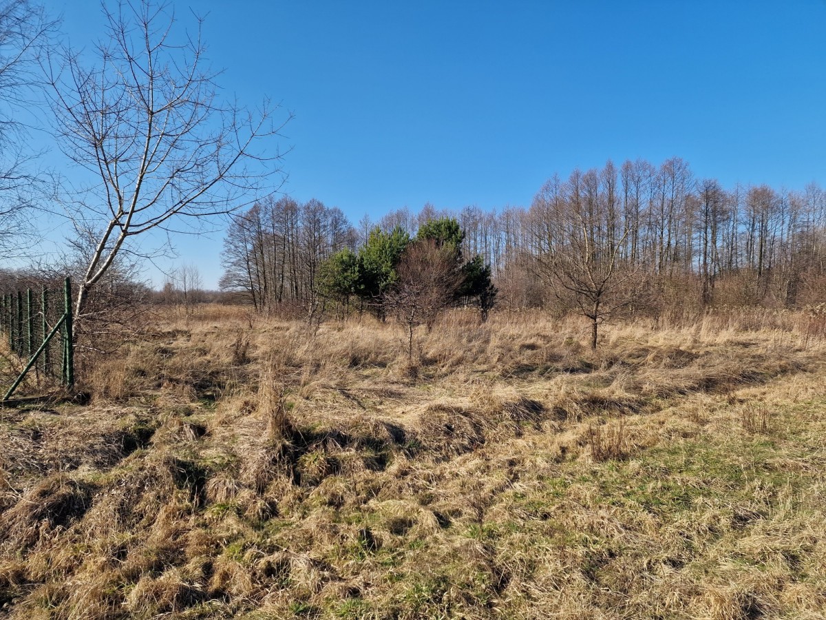 Działka blisko Warszawy na dom całoroczny