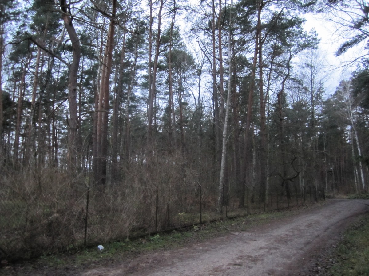 Zalesie Górne  – Na sprzedaż