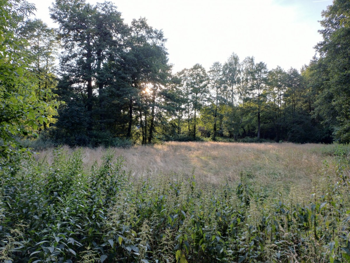 Działka o dużym potencjale Jatne, gmina Celestynów
