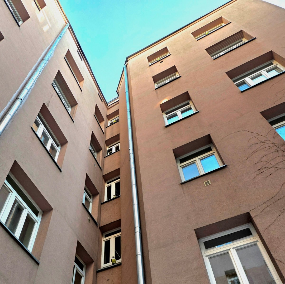 Warszawa Praga-Północ – Na sprzedaż