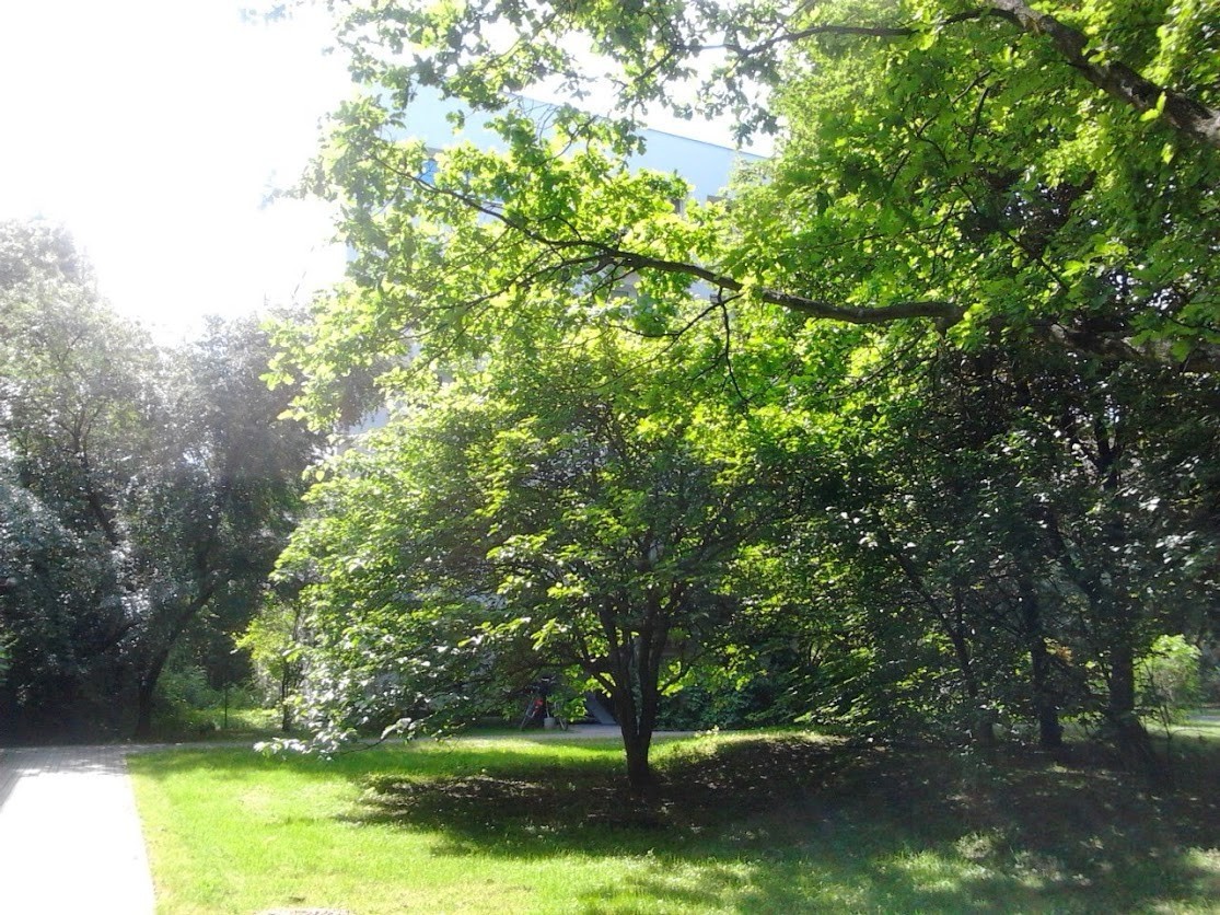 Sady Żoliborskie | przy parku | blisko metra