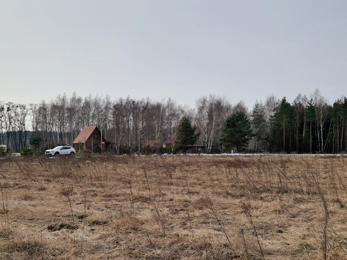 Joniec  – Na sprzedaż