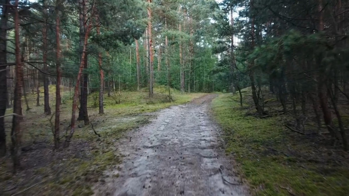 Działka leśna 1084m2 | pod Warszawą