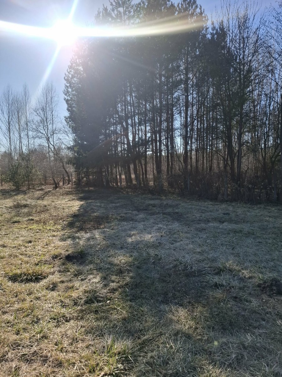 Działka budowlana – las, cisza, natura