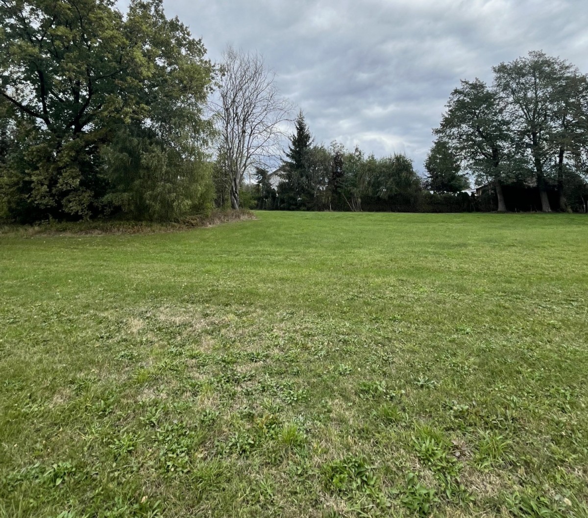 Działka nad Bugiem | 0,43 ha ciszy i zieleni