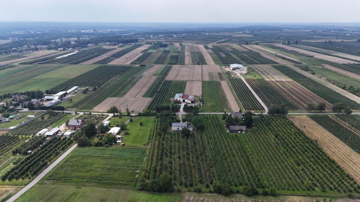 Działka Rolna 9000m2 wraz z domem