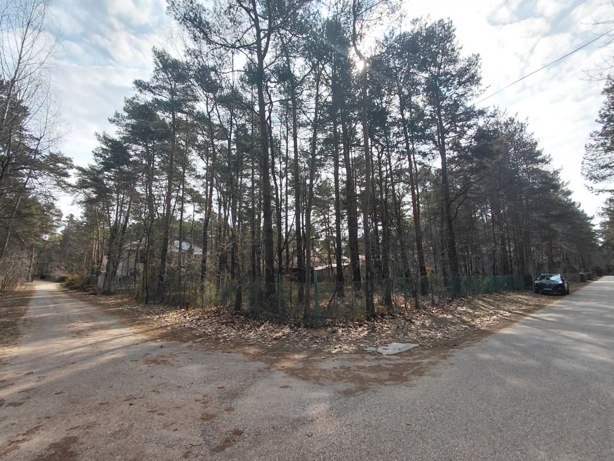 Izabelin C – perełka