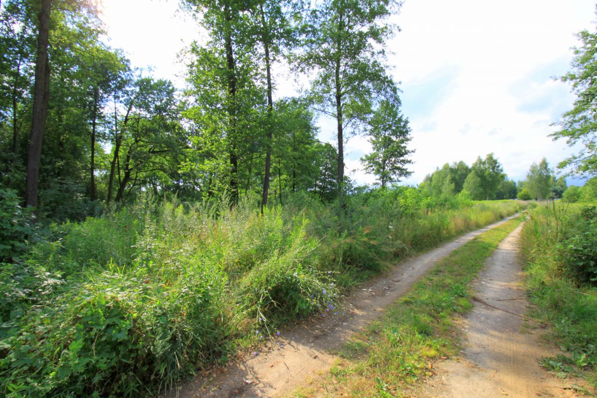 Działka rekreacyjna, zabudowa na zgłoszenie do 70m