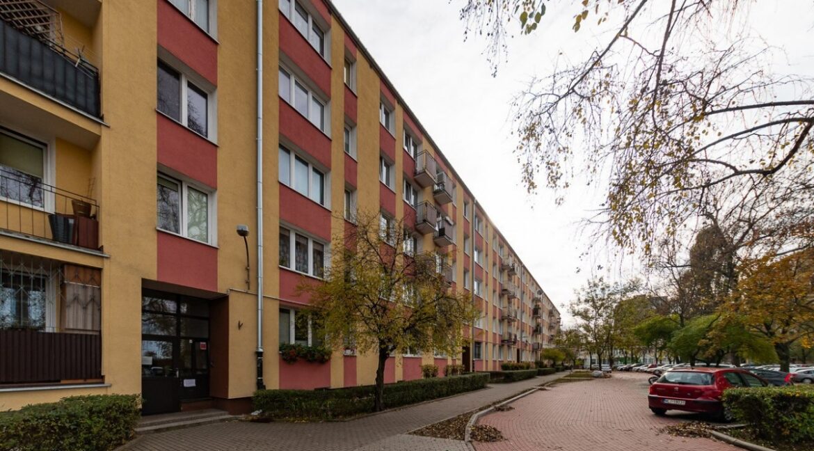 25045579