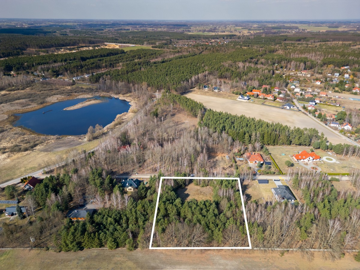 DZIAŁKA PREMIUM 6537 m² | MPZP | LAS | PODZIAŁ