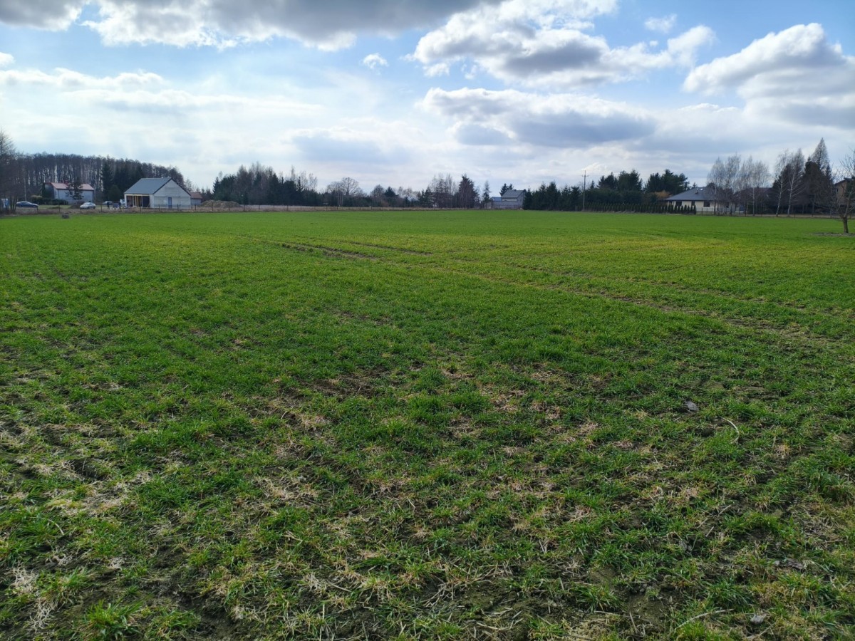 Działka budowlana w okolicach Płocka