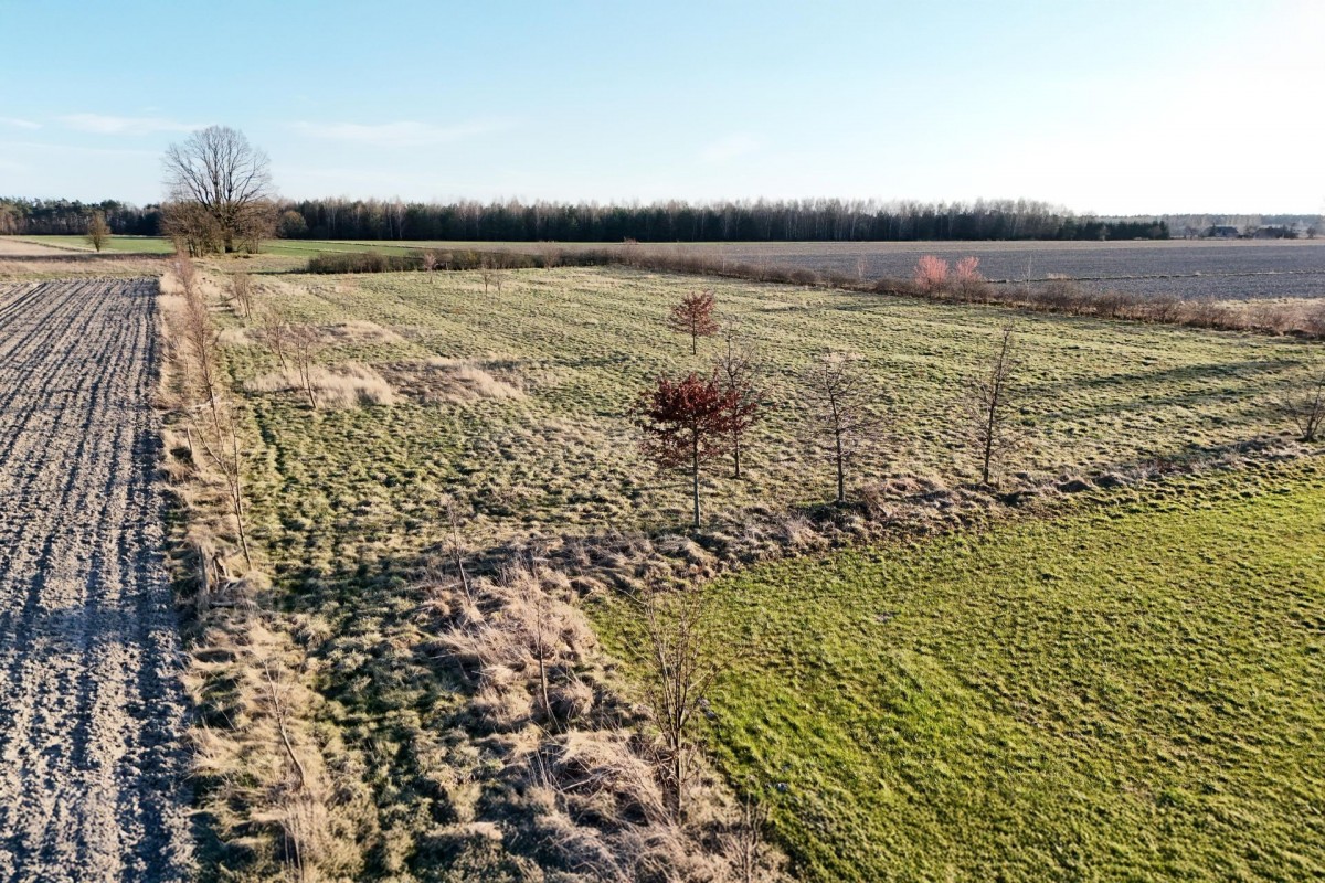 Ponad hektar przestrzeni 40 minut od Warszawy