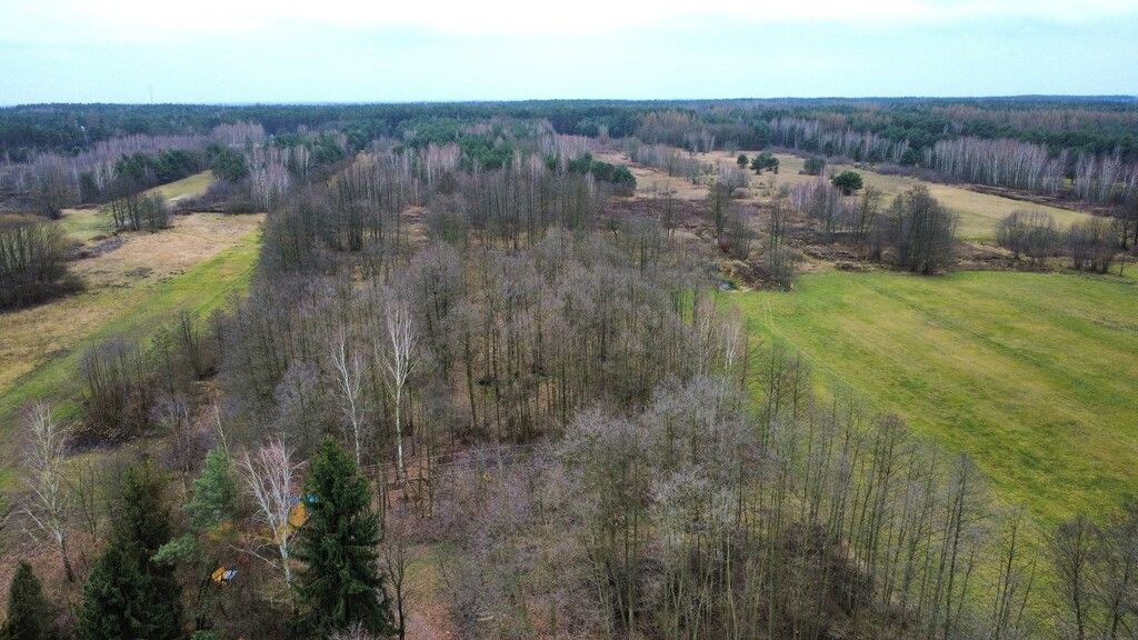 Działka na sprzedaż Mariew Stare Babice blisko las