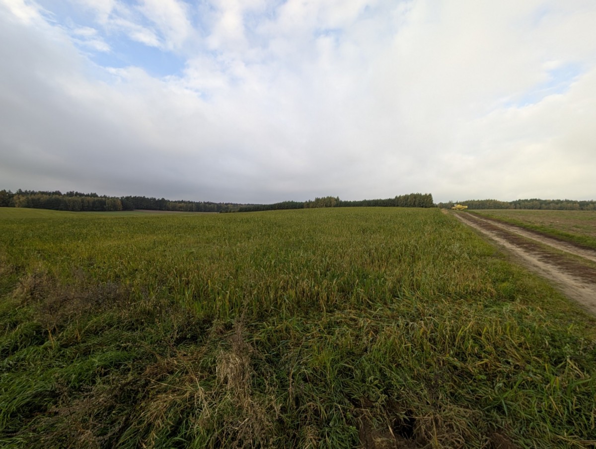 Pole uprawne, klasa bonitacji V i VI, las tuż obok