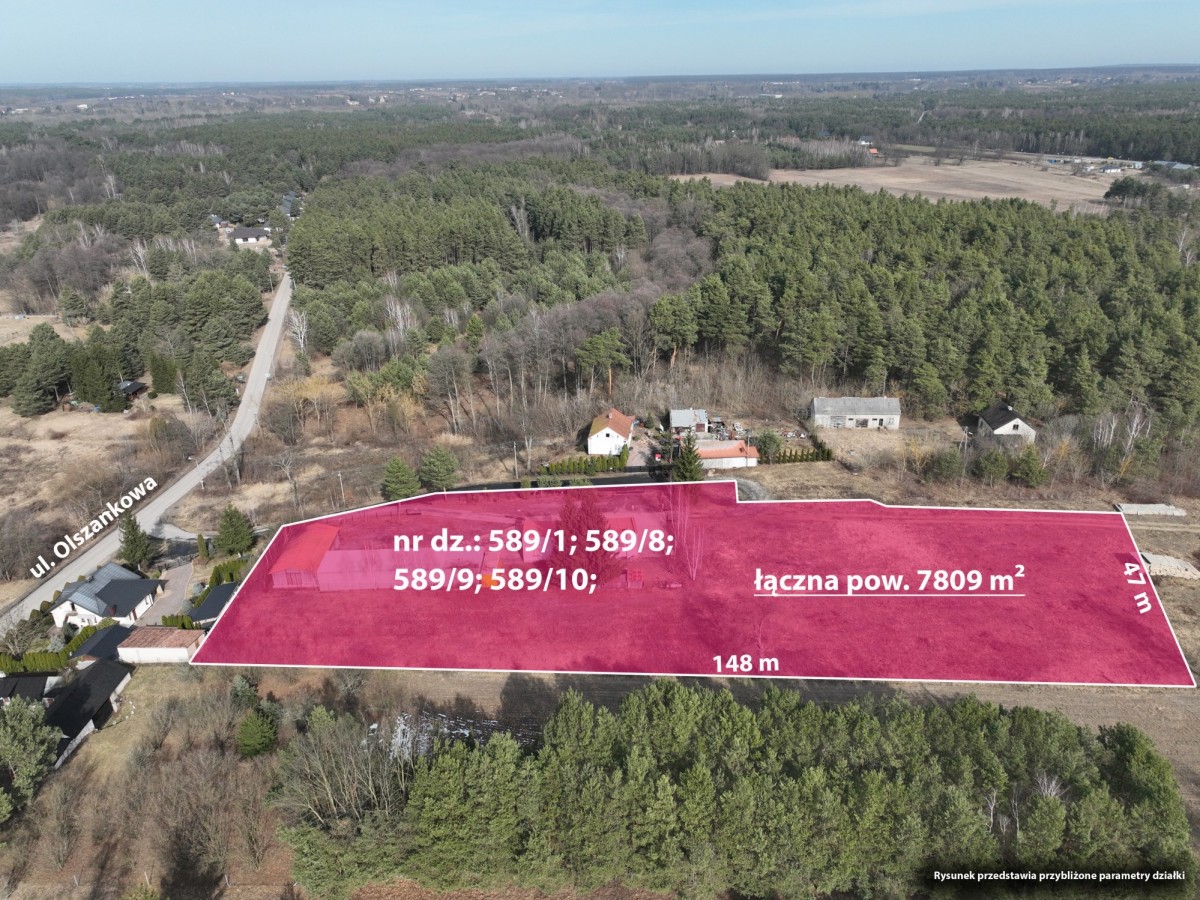 Skrzeszew  – Na sprzedaż