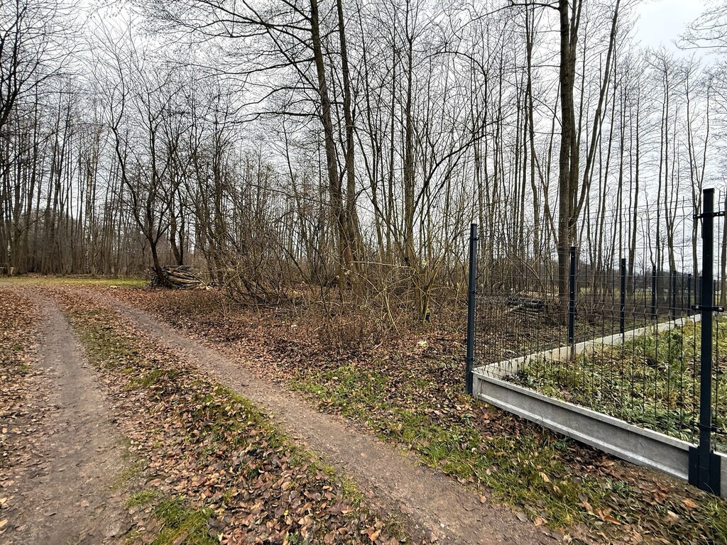 Działka na sprzedaż Mariew Stare Babice blisko las