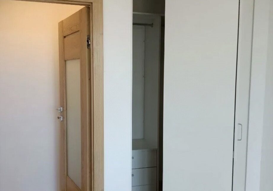 25275098