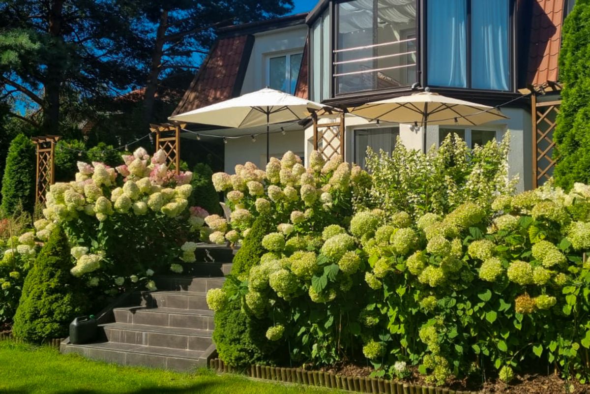 Konstancin | Dom w Hortensjach