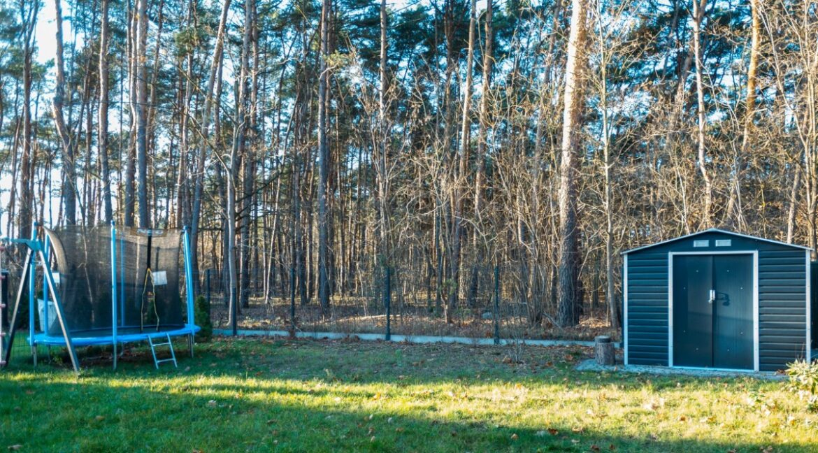 25290829