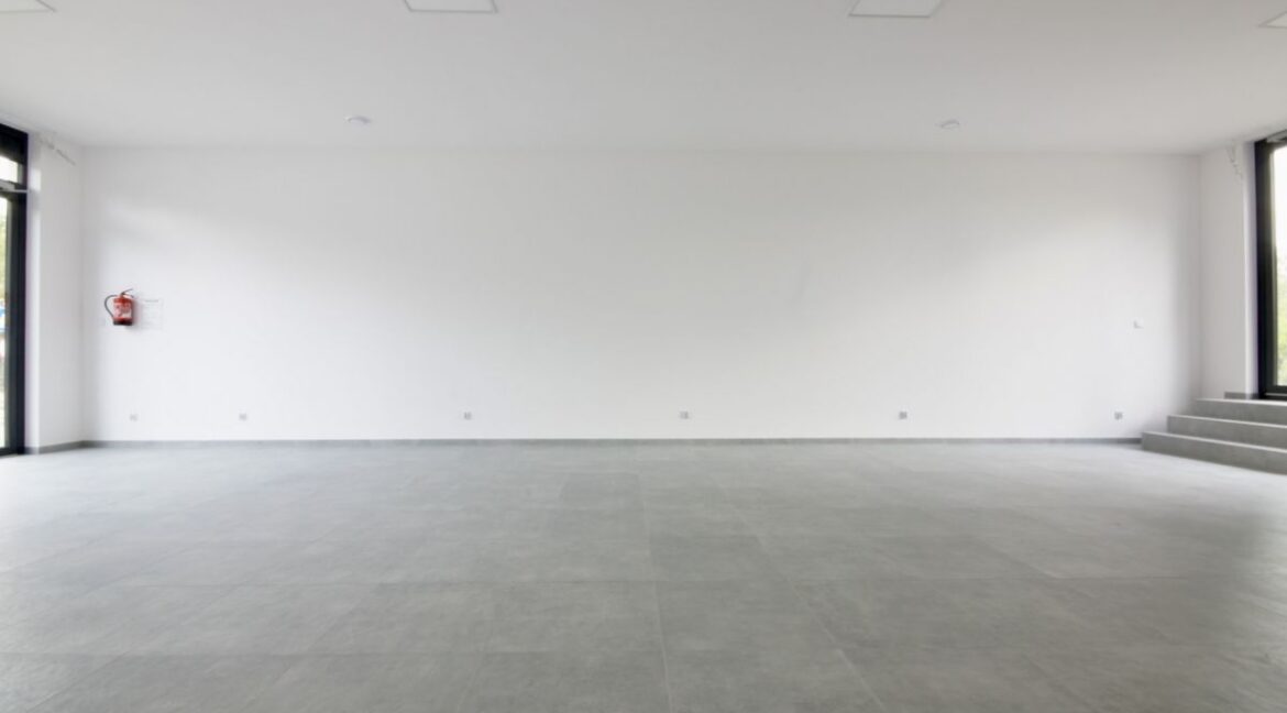 25295867