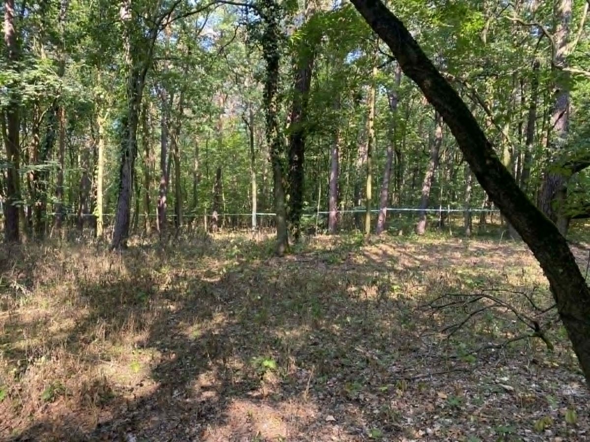 Atrakcyjna Działka i CENA /Konstancin-Jeziorna „A”