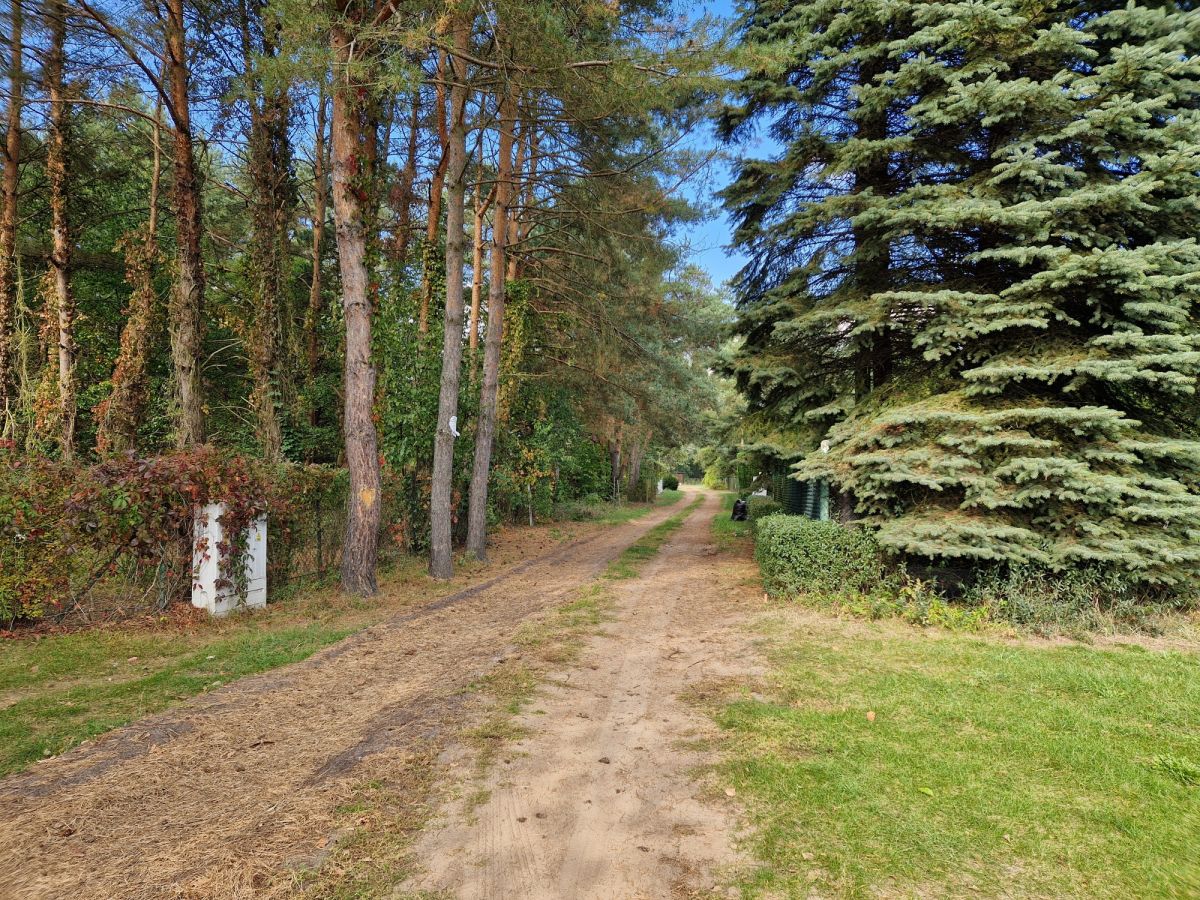 Piękna działka w Atrakcyjnej cenie