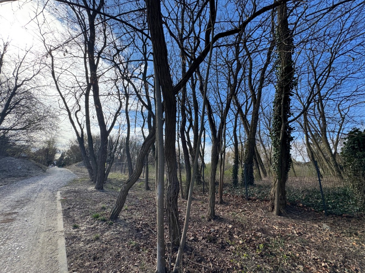 DZIAŁKA BUDOWLANA MŁOCINY AKTUALNA WZ