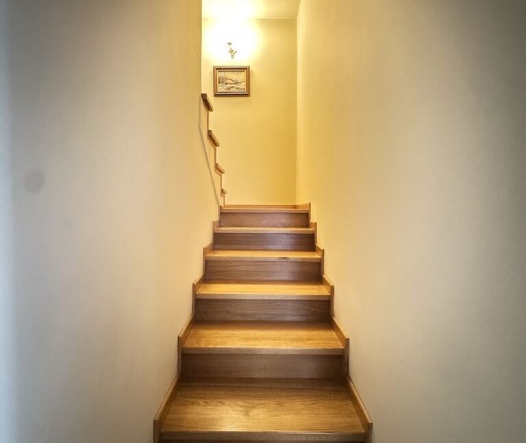 25326051