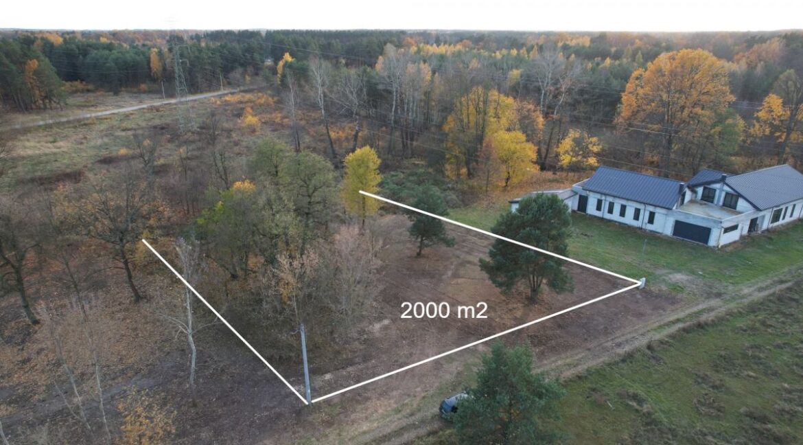 25347226