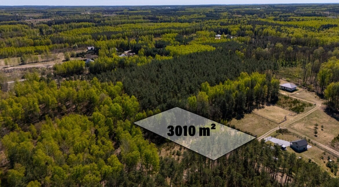 25375006