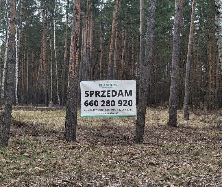25449502