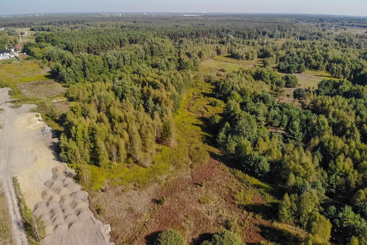 Atrakcyjna działka w Nadmie – 4500 m² w zielonej o