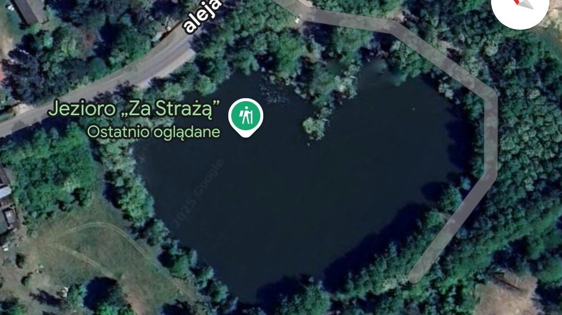 23504490
