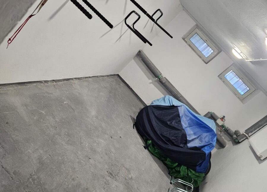 25175596