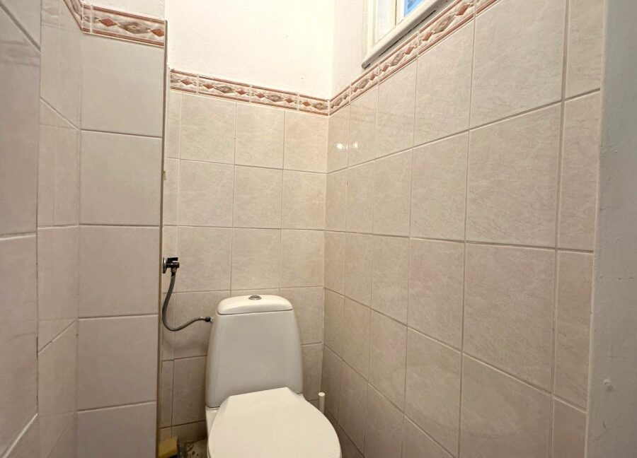25208782