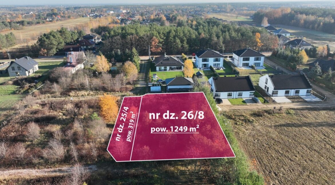 25246904