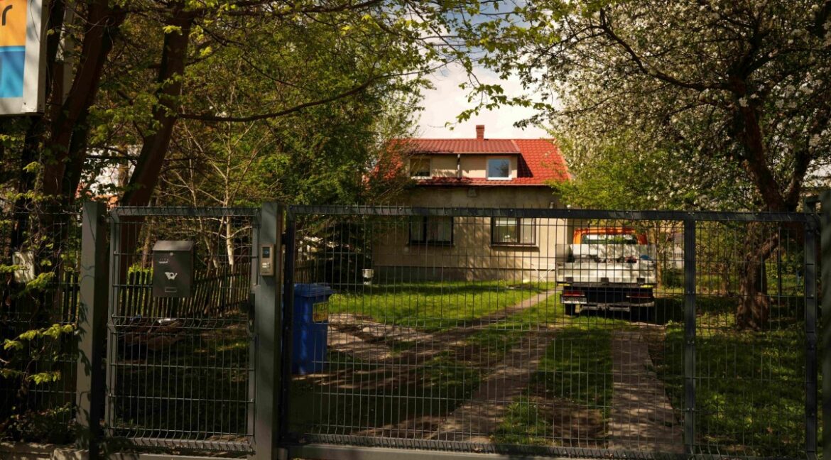 25333831