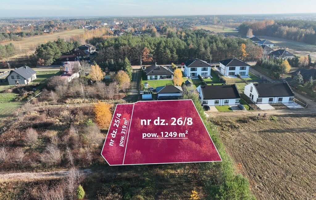 25351169