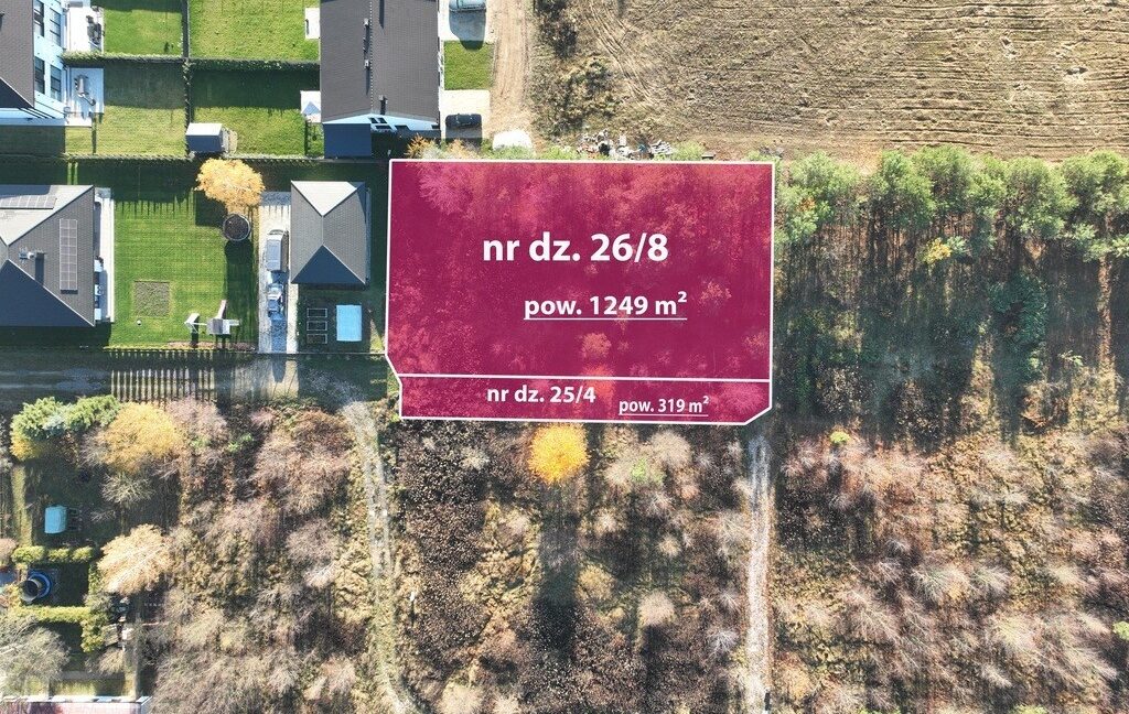 25351170