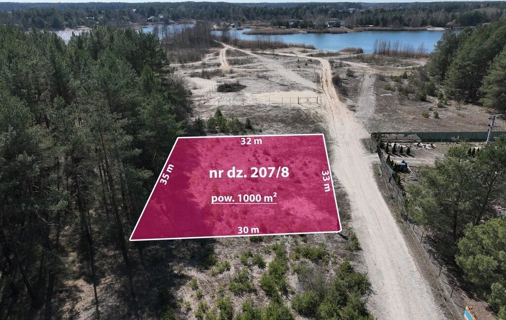 25351209