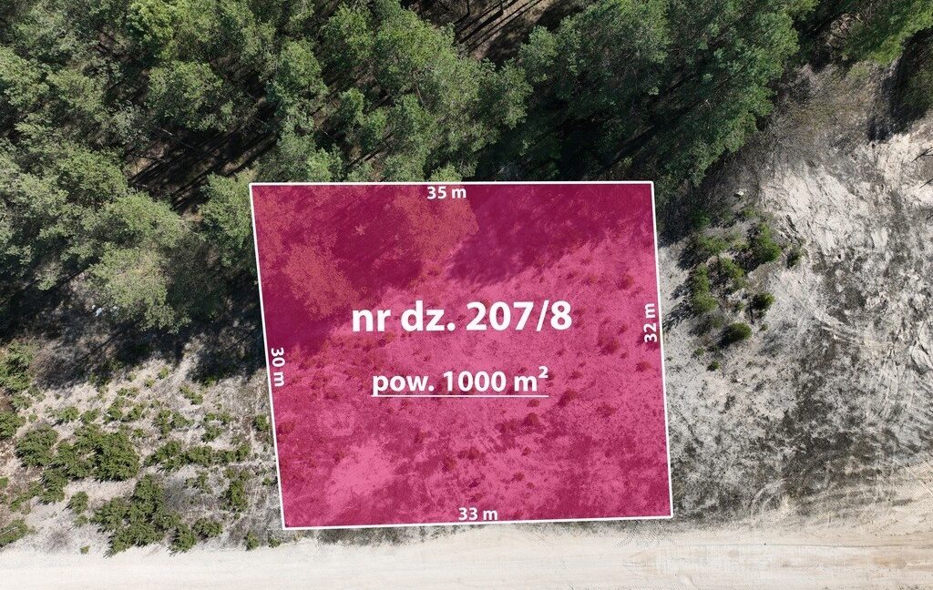 25351216