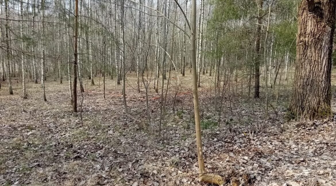 25366590