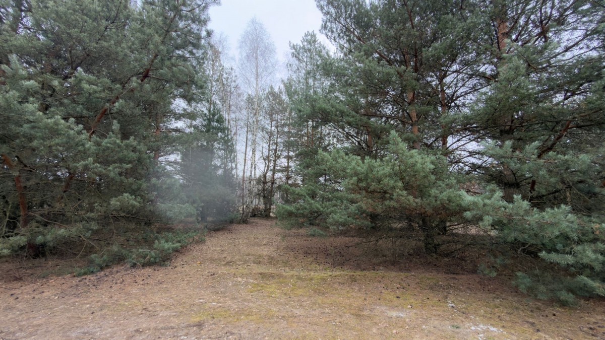 Michałów – urokliwa działka budowlana 5500 m2