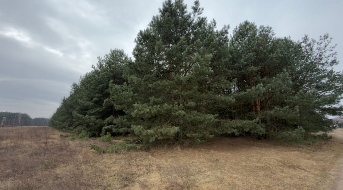 25366786