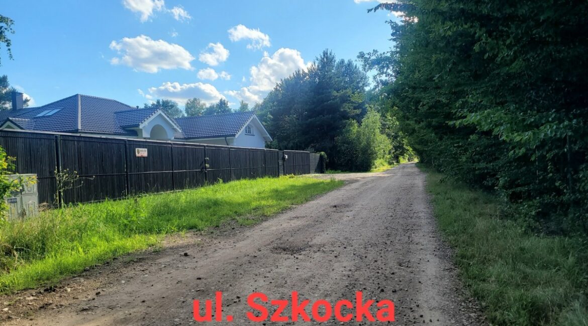 25379724