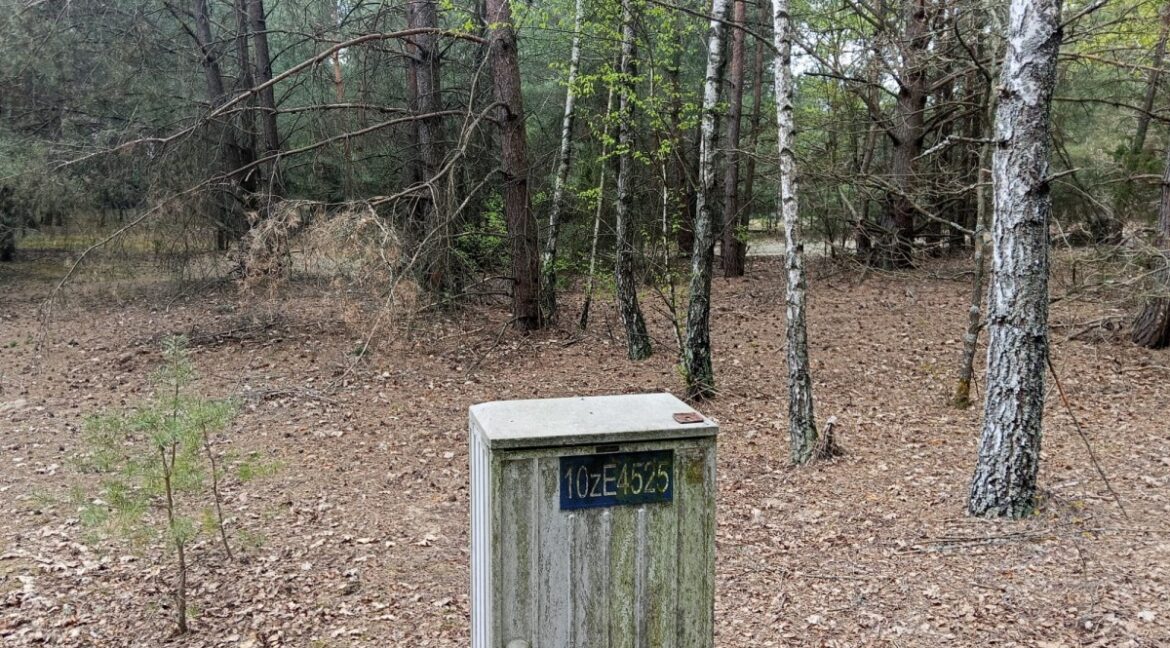 25389399