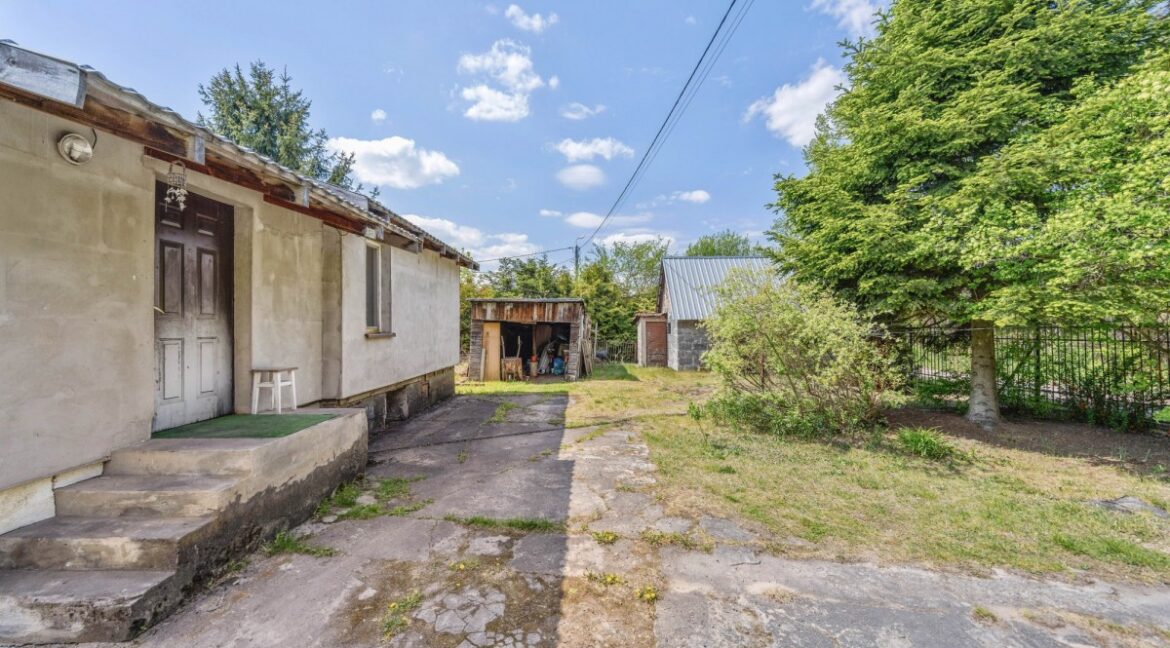 25393573