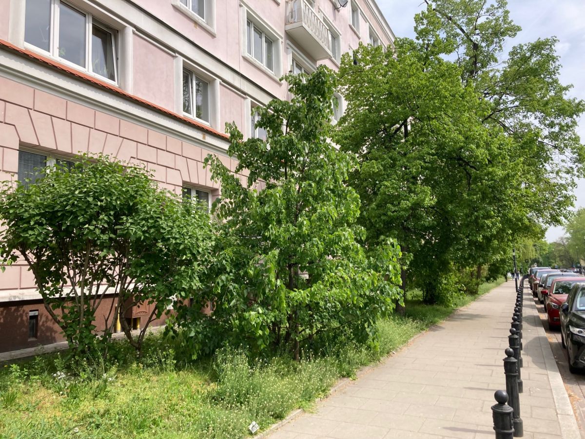 Dla singla lub pary – Śródmieście Muranów